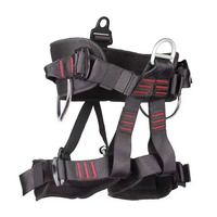 Harnais de sécurité demi-corps pour escalade en extérieur, ceinture d'entraînement extensible, harnais demi-corps pour le camping, accessoire de qualité