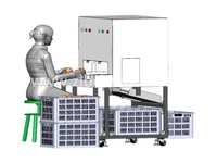 Équipement de traitement en vrac automatique de presse-agrumes de citron de machine d'épluchage d'agrumes