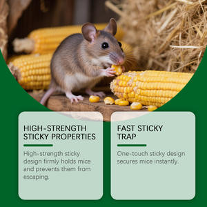 Cezbedici fare tuzağı güçlü yapışkanlık yapıştırıcı sıçan Catcher haşere fareler için tutkal tuzağı karton yapışkan fare kurulu kontrol - Product Image 4