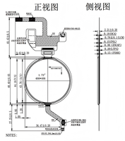 Module d'affichage AMOLED de 1,73 pouce, résolution 466x466, interface QSPI, pilote IC CO5300, rétroéclairage LED, montre intelligente, luminosité 700 cd/m²