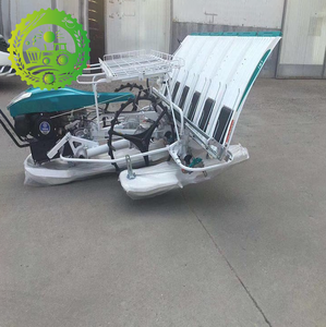 Trasplantadora de Arroz Multihileras, Máquina Agrícola Automática para Plantar Plántulas en el Campo - Product Image 6