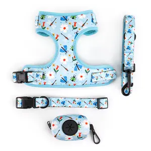 Harnes anjing 2024 hewan peliharaan sublimasi, Set Aksesori ramah lingkungan Anti tarik udara Neoprene X XS musim semi anjing Harness nama kustom