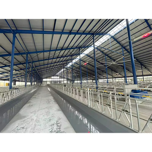 Precio de Fábrica, Establos Modernos para Vacas con Estructura de Acero Galvanizado, Construcción Rápida para Granjas - Product Image 4