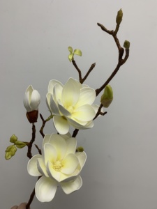 Flores Artificiales de Magnolia de Alta Calidad, Tallos de Magnolia Blancos de <span class=keywords><strong>EVA</strong></span>, Arreglo Floral para Centro de Mesa, Decoración Interior del Hogar - Product Image 1