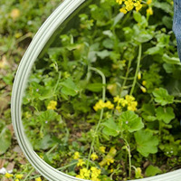 Arche de serre agricole robuste en PRV (polymère renforcé de fibres de verre) pour tunnel de culture de légumes