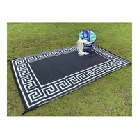 Tapis de plage et de camping-car universels toutes saisons de haute qualité Tapis de pique-nique tissé facile à nettoyer et à plier Type de matelas résistant à l'humidité