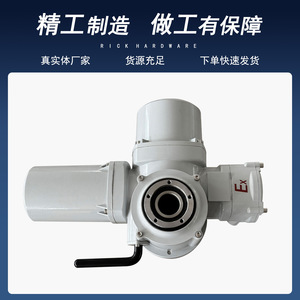 ตัวกระตุ้นไฟฟ้าแบบเส้นตรงขนาดยาวพิเศษ ผลิตตามสั่งสำหรับควบคุมวาล์ว - Product Image 2