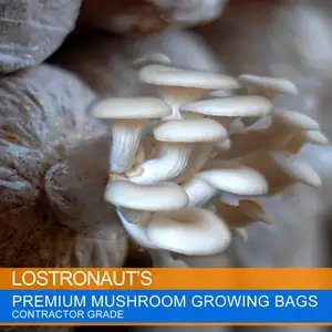 Sacs <span class=keywords><strong>de</strong></span> culture <span class=keywords><strong>de</strong></span> champignons Shiitake XL extra épais <span class=keywords><strong>de</strong></span> 5 microns Fibre végétale <span class=keywords><strong>de</strong></span> grande taille pour l'emballage <span class=keywords><strong>de</strong></span> substrat - Product Image 6