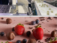 Nouvelle machine à enrober les fruits, les noix et les légumes au chocolat, alimentée par prise électrique