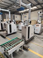 Robot de palettisation à charge utile de 30 kg / 50 kg, solutions personnalisables