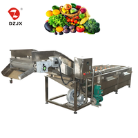 DZJX Volledig Automatische Multifunctionele Wortelgroente Reinigingsmachine voor Maïs/Noten Radijs/Rambutan/Surfing