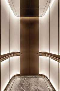 Ascenseur d'usine pour villa résidentielle, ascenseur/élévateur/ascenseur pour passagers ou ascenseur d'observation ou ascenseur/voiture décoratif original Otis - Product Image 4