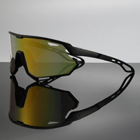 Lunettes de sport personnalisées, lunettes de moto anti-vent, résistantes aux UV, verres colorés avec monture en PC pour le cyclisme et les lunettes de soleil