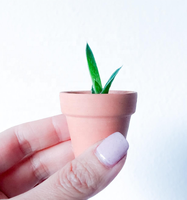 Vente chaude Mini Pots En Terre Cuite Minuscule Poterie Planteur pour Succulent Cactus pour DIY Artisanat Jardin Décor Cadeaux