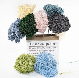 Venta al por mayor de Hortensias Azules Congeladas Secas, Cabezas de Flores de <span class=keywords><strong>Hortensia</strong></span> Preservadas de Tallo Largo para Suministro a Granel y Decoración Eterna - Product Image 6