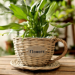 <strong>Antique</strong> Wash Handmade Rattan Tea Cup Planter <strong>Basket</strong> Wicker Flower <strong>Basket</strong> Willow Garden Pot - Product Image 1