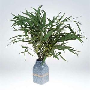 Cabang Bunga Kering Beku Daun Eucalyptus yang Diawetkan dengan Buah - Product Image 6