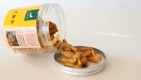Bandes de ginseng guangdongAmerican