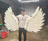 Grand costume d'aile d'ange de fée ailes de plumes de couleur crème transfrontalières pour la décoration de carnaval d'halloween