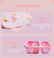 Boîte à bento scolaire sans BPA pliable pliable réutilisable Oem pique-nique enfants boîte à lunch extérieure durable réutilisable boîte à lunch