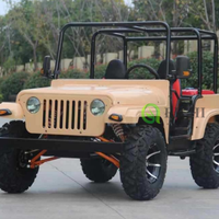Voiture Jeep Miniature Personnalisée Richi, Électrique et à Essence, Automatique, Moteur 200cc 250cc 3000W, Véhicule Neuf à Grande Vitesse