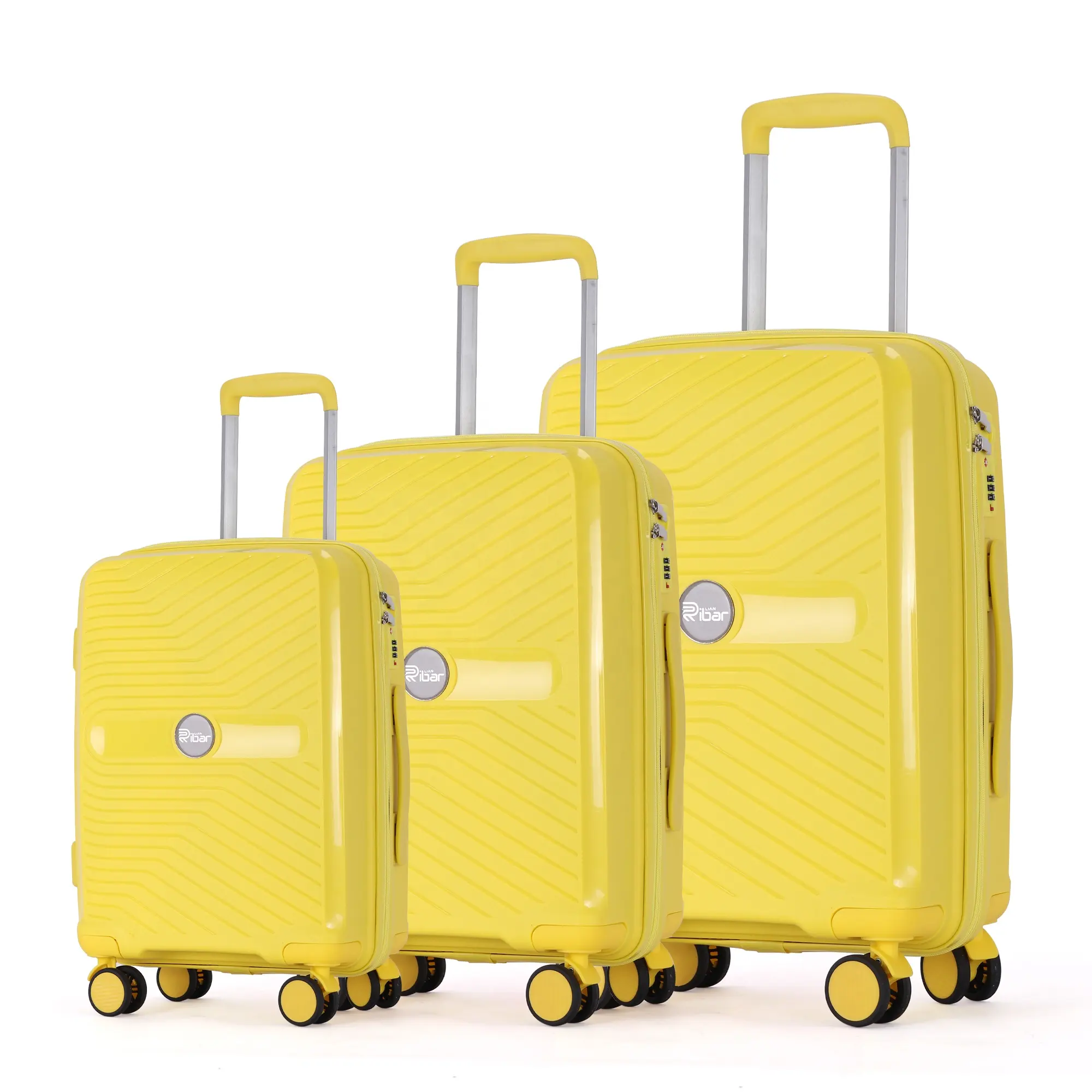 Fabricant OEM/ODM Chariot en fer à double roues Valise rigide PP Bagages de voyage