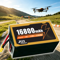 16800mAh 8S 30.4V 100C Yüksek Voltajlı Pil, 12 İnç FPV Drone Endüstriyel İHA RC Model Pil Toptan Satış Stabil Teslimat