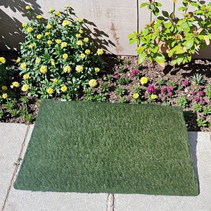 Nieuwe Mode Binnen/Buiten Hondenpotje Draagbaar Plastic Huisdierentoilet Met Milieuvriendelijk Kunstgras - Product Image 6