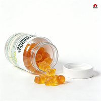 Gummies Probiotiques OEM/ODM à base de Bacillus Coagulans pour le soutien digestif et immunitaire, à base de pectine, sans gluten, complément alimentaire GMP/Halal/Kosher