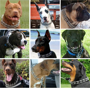 Kingtale Haustierzubehör Großhandel günstig Metall rund Ultra Plus Hundetraining <span class=keywords><strong>Prong</strong></span> Schneidkragen Haustier-Schneidkette Kragen - Product Image 6