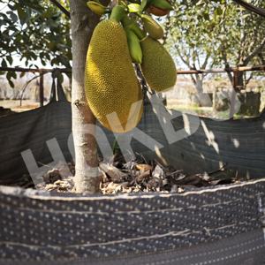 HOKBG 25 35 Bolsas de cultivo tejidas de PP negras portátiles y reutilizables de 50 galones para plantación de vivero con asas Precio de fábrica - Product Image 5