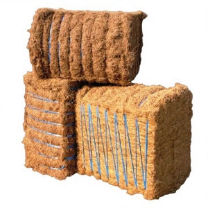 Fibres de noix de coco brutes écologiques pour usage domestique, en balles, haute qualité et prix abordable, directement du fabricant Eco2go Vietnam - Product Image 1