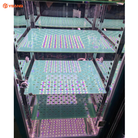 YSANQ Cámara de Crecimiento de Plantas Industrial LED Más Vendida para Pruebas de Envejecimiento de Materiales con Fuente de Luz Fría y Sistema de Bloqueo de Seguridad