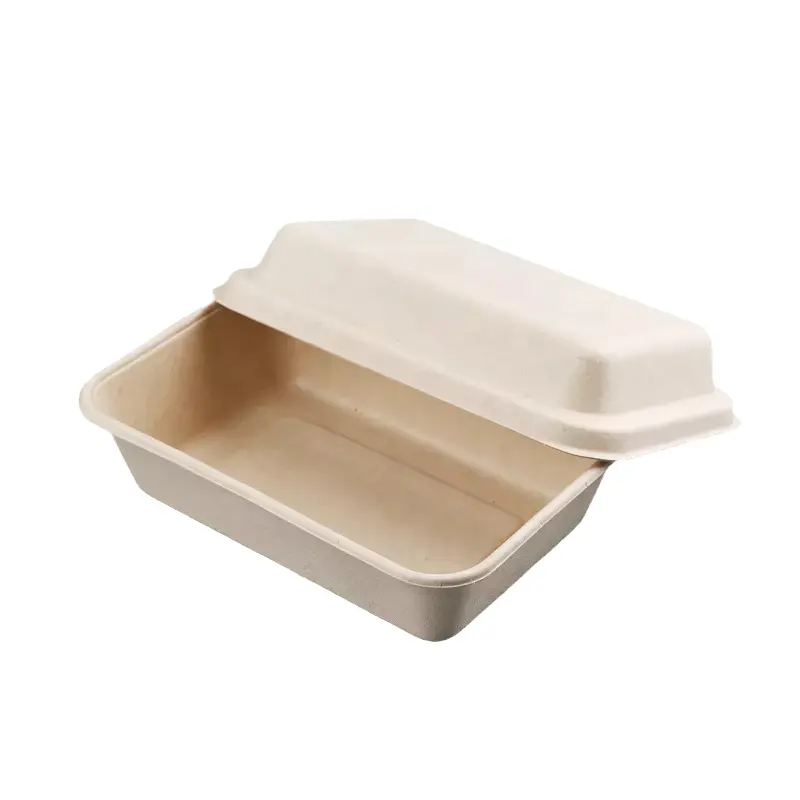 New Style Eco Friendly Factory Supply Biodegradable Food Packaging Containers Take Out Lunch Box Cake Box Rectangle Compostable