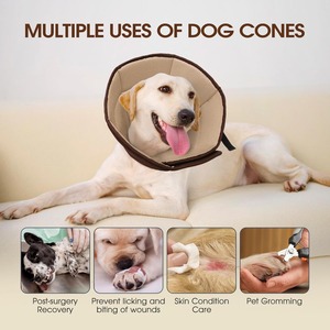 Collier éclairégenant pour chien, collier conique après chirurgie, collier éclairégenant souple et réglable pour chiens, léger et respirant - Product Image 5