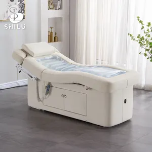 Hochey Automatic Water Therapy Spa Bed Whole Body Treatment Water Bed Adjustable 4 Motors Electric Spa Bed Table DMC8