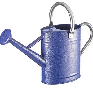 Meilleures ventes arrosoir en métal galvanisé robuste pour plantes de jardin nouveau design - Product Image 1