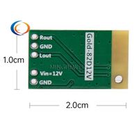 Carte d'amplificateur de puissance numérique 12V, module d'amplificateur audio pour haut-parleur Bluetooth 12VDC, Gold-82D