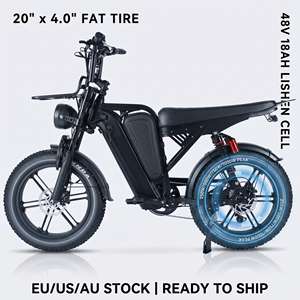 Vélo électrique QMWHEEL V20 Pro 20 pouces à pneus larges 48V CE EEC COC homologué pour la route Italie Magazzino UE Italia Expédition 24h E Bike - Product Image 1