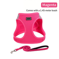 Harnais et laisse pour chien et chat, antidérapant, confortable, en maille, réfléchissant, personnalisé, grand modèle, robuste, anti-traction, réglable