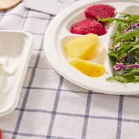 Assiette jetable classique Warmpack 10 pouces en bagasse de canne à sucre, 3 compartiments, écologique, compostable, sans BPA, pour fêtes et traiteur