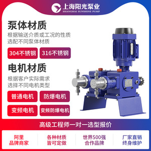 ปั๊มสูบจ่ายสารเคมีแบบลูกสูบ รุ่น DZ-X2 ยี่ห้อ Shanghai Sunshine Pump Industry ผลิตจากสแตนเลส 316 ทนแรงดันสูง แบบหัวคู่ รุ่น 45038 - Product Image 4