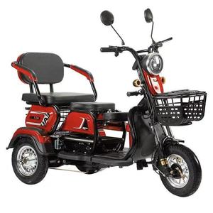 Tricycle tout-terrain 2 places certifié CEE, édition standard ouverte, motorisé 48V pour adultes, puissant moteur 500W offrant S - Product Image 6