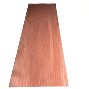 2.7mm 3mm 5mm 18mm Bintangor / Okoume/pine Wood Veneer Faced Plywood商用合板