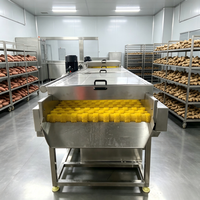 Bellenwasmachine met borstelrollen voor het reinigen van aardappelen, wortelen, uien en wortelgroenten.