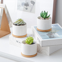 Pot de plante succulente en céramique cylindrique blanc nordique avec plateau en bambou, petit pot de fleurs pour cactus, pour la décoration intérieure de bureau