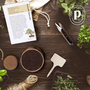 Jardinière <span class=keywords><strong>balcon</strong></span> salon vert pot de plantation chinois Zen bonsaï décoration pot de fleurs créatif - Product Image 5