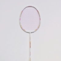 Raquette Dmantis OEM disponible, raquette en carbone intégral, raquette de badminton professionnelle haut de gamme, meilleures raquettes de badminton pour l'entraînement