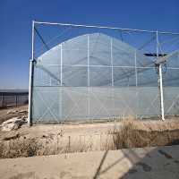 Serre en film plastique à tunnel unique isolée pour l'hiver avec rideau thermique, résistante au vent et à la neige, pour la culture de légumes dans les zones froides