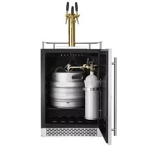 Yeni ürün en İyi hizmet Inverter kompresör bira fıçısı bira otomatı Kegerator islak Bar için